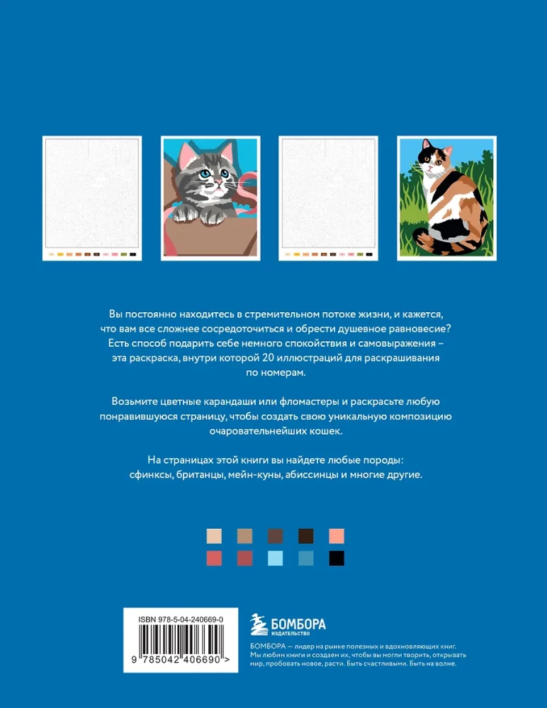 Fluffy Kittens. Paint by Numbers