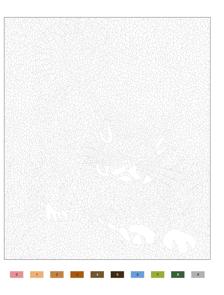 Fluffy Kittens. Paint by Numbers