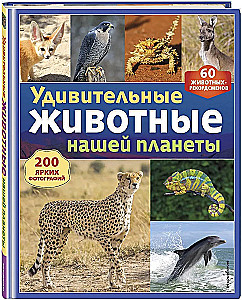 Amazing Animals of Our Planet