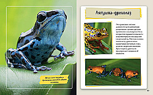 Amazing Animals of Our Planet