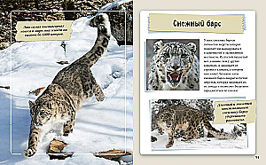 Amazing Animals of Our Planet