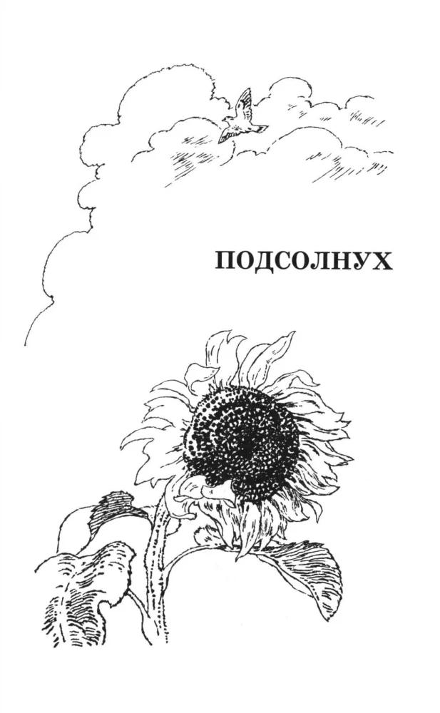 Priecīga vasara
