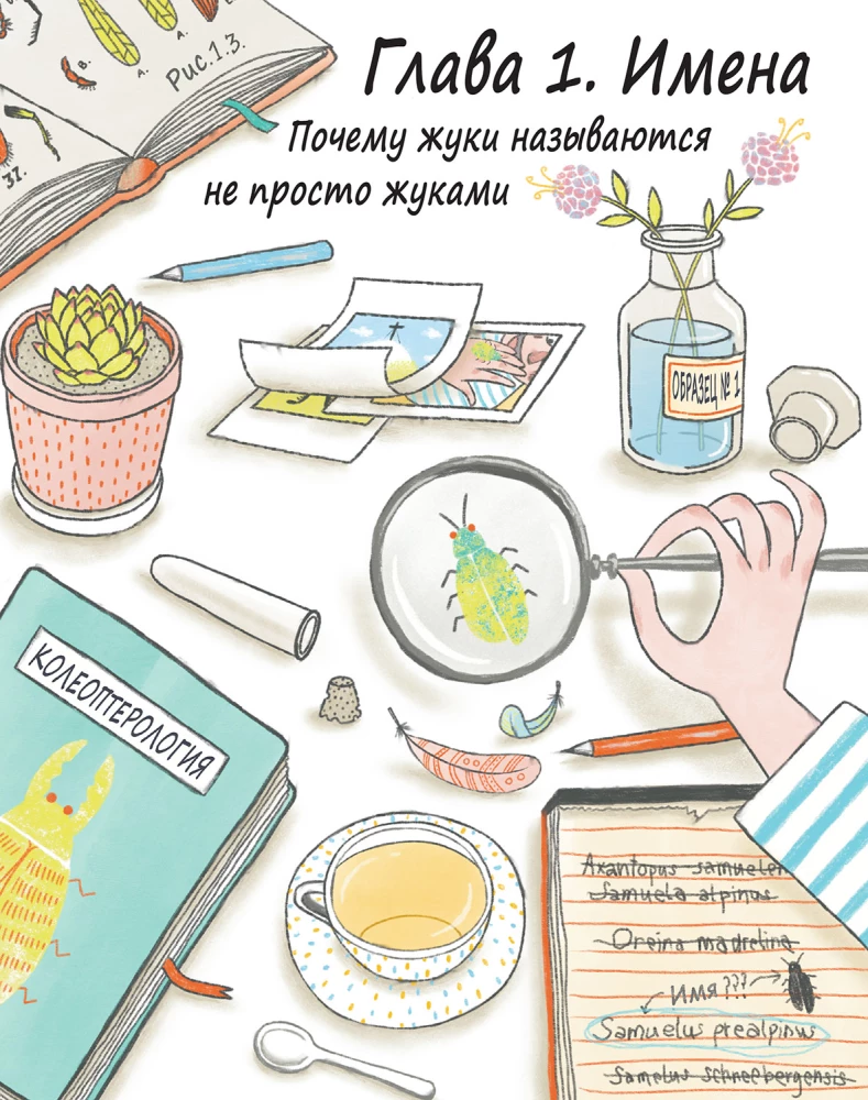 Sam i ewolucja: Krótka historia biologii ewolucyjnej
