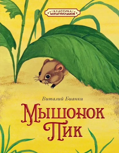 Miceonok Pik