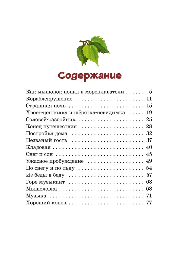 Miceonok Pik