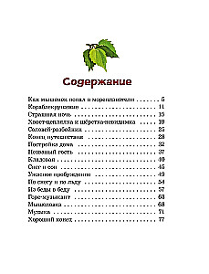 Miceonok Pik