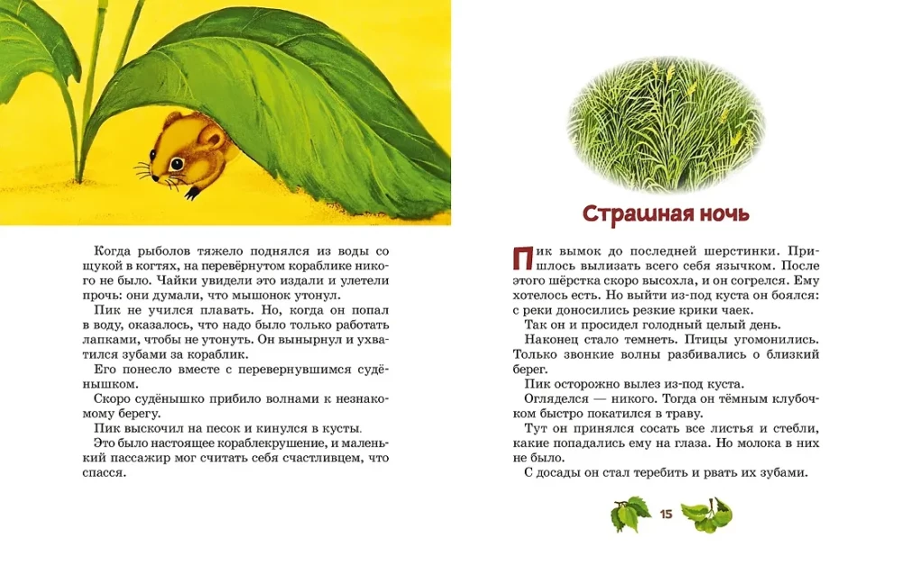 Miceonok Pik