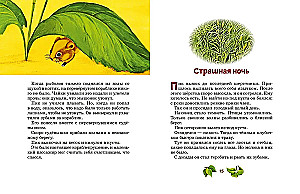 Miceonok Pik
