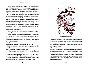 Myths and Legends of Romania