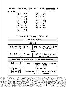 Schemen der russischen Sprache. Alle Arten der Analyse. Klassen 1-4
