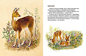 In unserem Wald