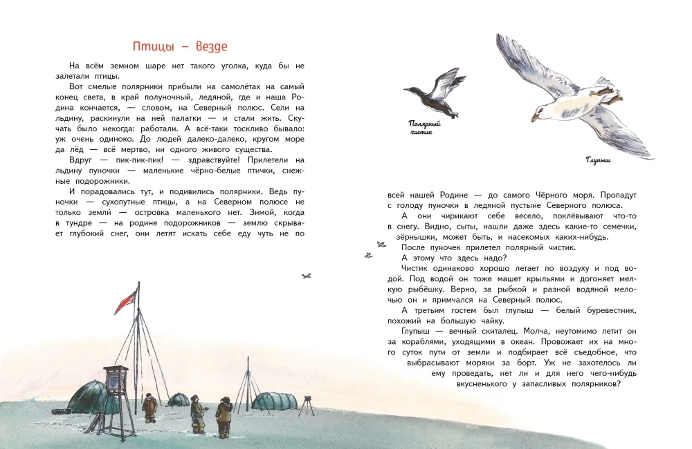 Unsere Vögel