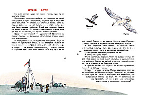 Unsere Vögel