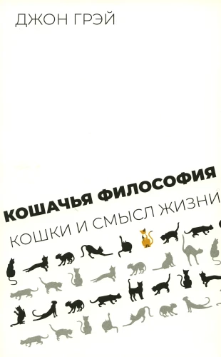 Cat Philosophy. Cats and the Meaning of Life