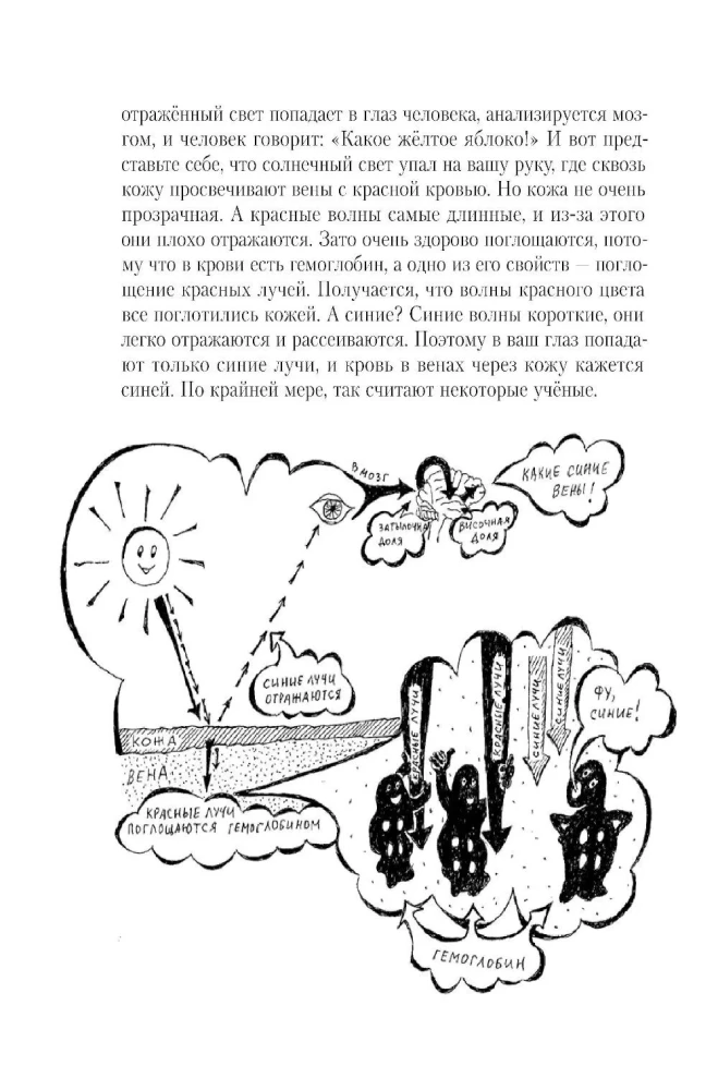Весёлая ФизиоЛогика: Как устроен наш организм