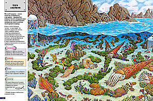 From Dinosaurs to Space. Mazes