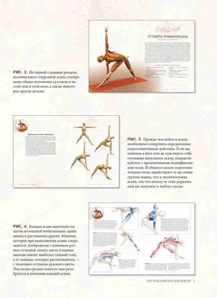 Anatomie von Vinyasa-Flow und Asanas im Stehen