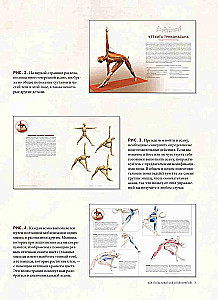 Anatomie von Vinyasa-Flow und Asanas im Stehen