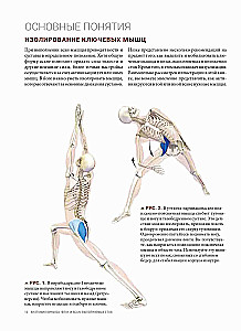 Anatomie von Vinyasa-Flow und Asanas im Stehen