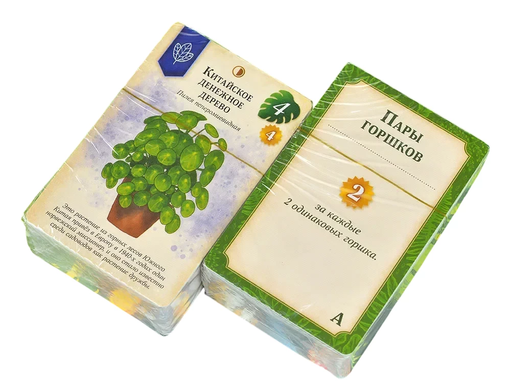 Brettspiel - Das grüne Haus