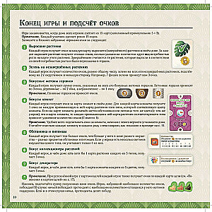 Brettspiel - Das grüne Haus