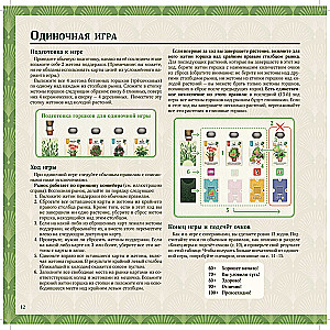 Brettspiel - Das grüne Haus