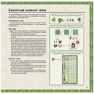Brettspiel - Das grüne Haus