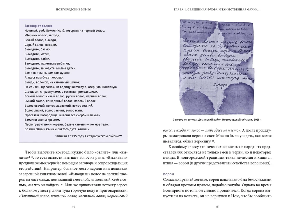 Mity nowogrodzkie. Od kapłana kruków i Perunowej pałki do zaklęć-wilkołaków i tajemniczego metra