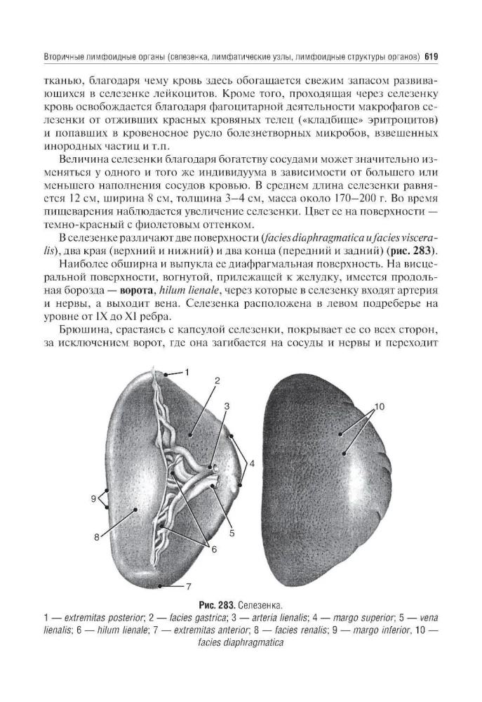Human Anatomy: A Textbook