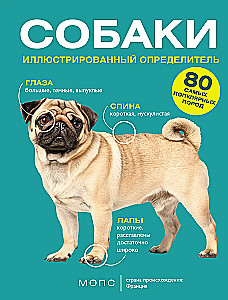 Dogs. 80 Most Popular Breeds. Illustrated Guide