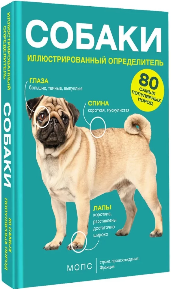 Dogs. 80 Most Popular Breeds. Illustrated Guide