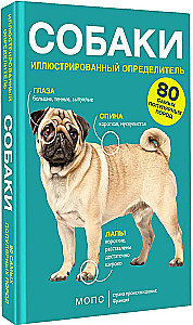 Dogs. 80 Most Popular Breeds. Illustrated Guide