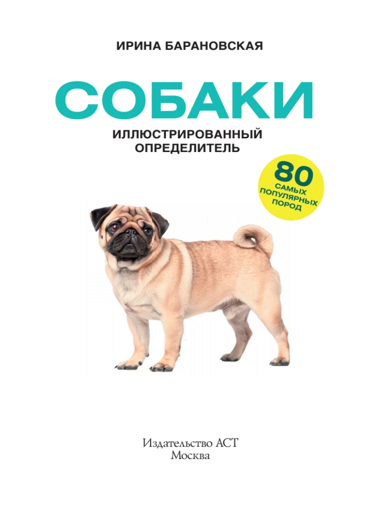 Dogs. 80 Most Popular Breeds. Illustrated Guide