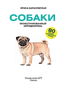 Dogs. 80 Most Popular Breeds. Illustrated Guide