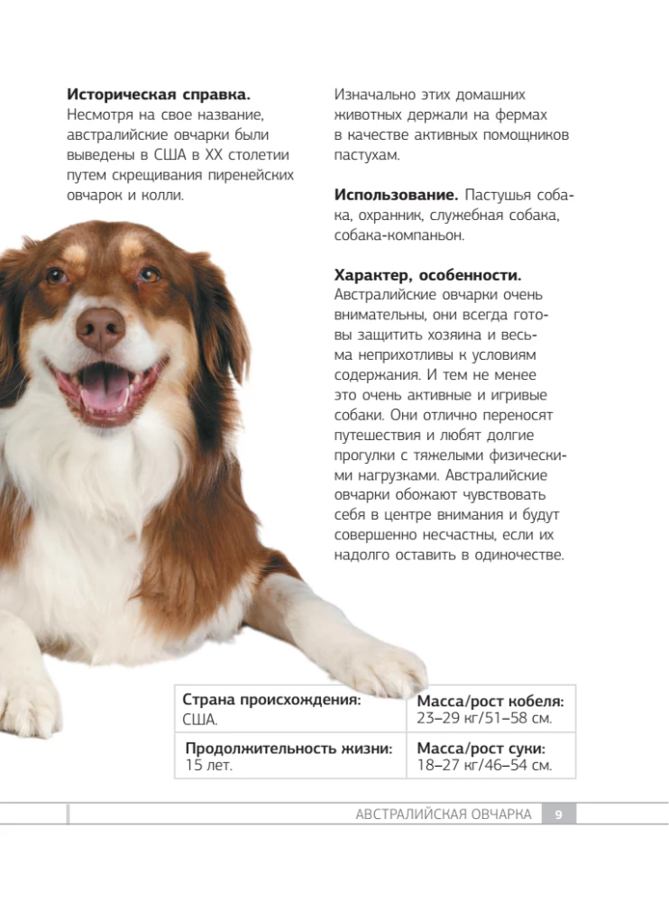 Dogs. 80 Most Popular Breeds. Illustrated Guide