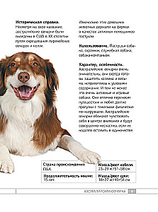 Dogs. 80 Most Popular Breeds. Illustrated Guide