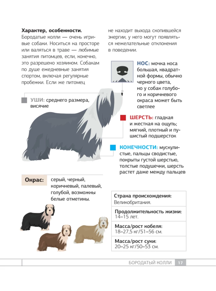 Dogs. 80 Most Popular Breeds. Illustrated Guide