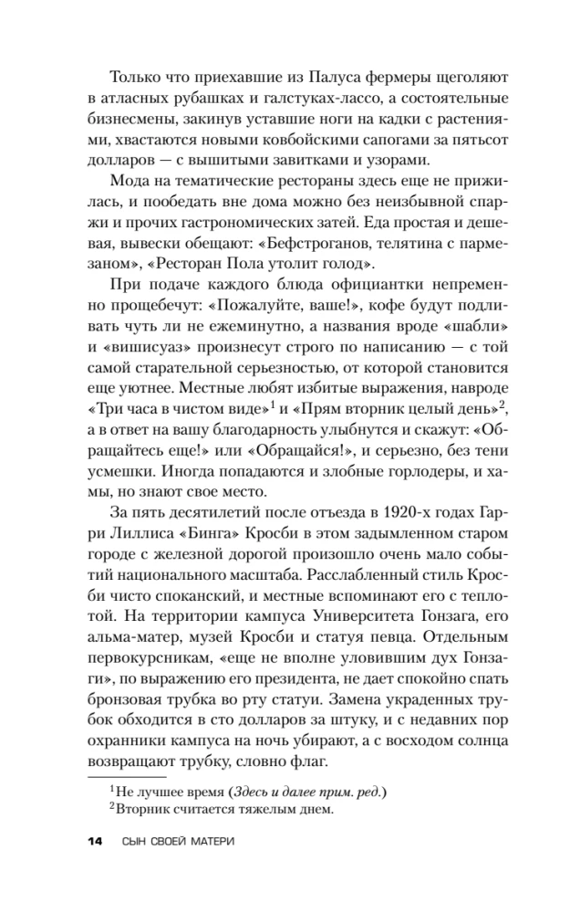 Сын своей матери. История идеальной семьи, в которой вырос психопат-насильник