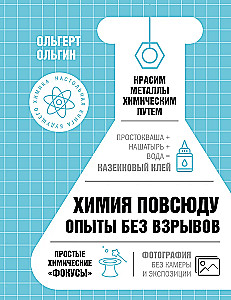Chemistry Everywhere. Experiments Without Explosions