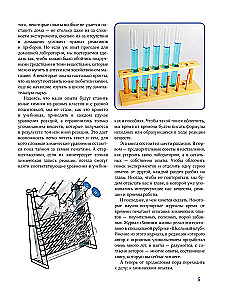 Chemistry Everywhere. Experiments Without Explosions