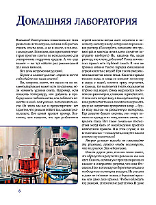 Chemistry Everywhere. Experiments Without Explosions