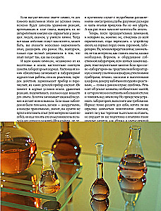 Chemistry Everywhere. Experiments Without Explosions