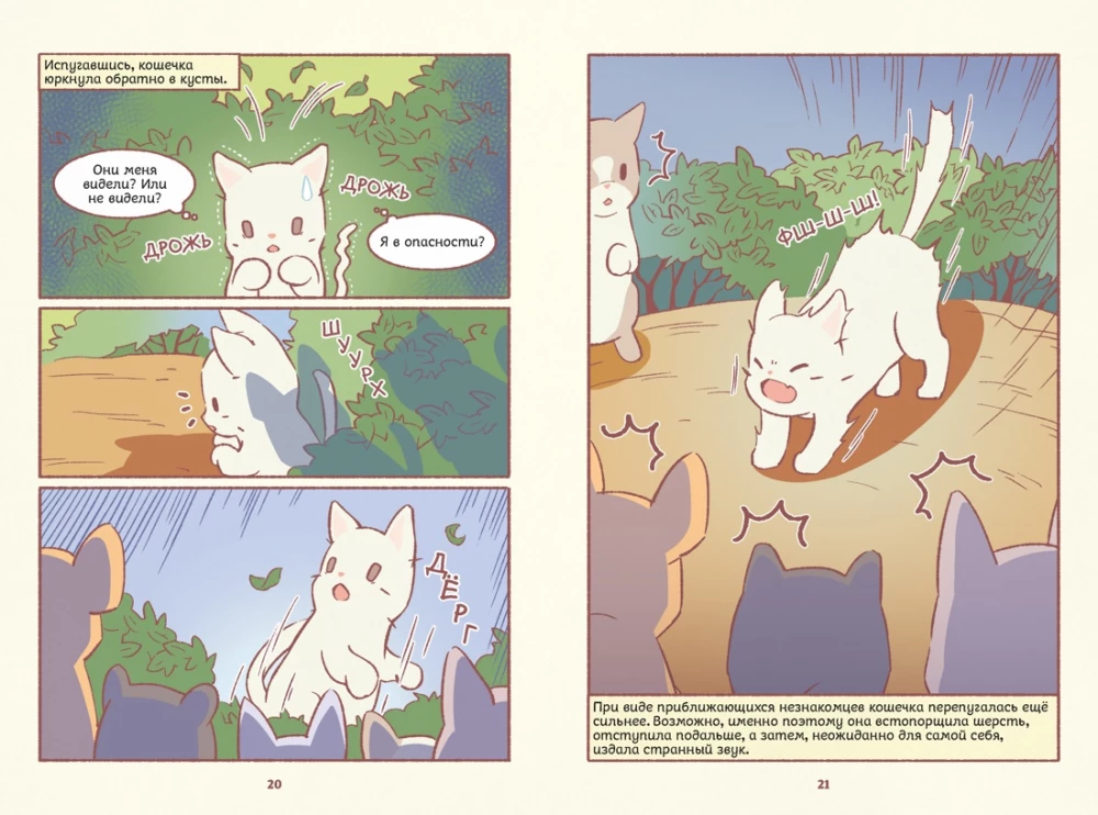 Cats and Soup. The Village of Starry Cats. Volume 1