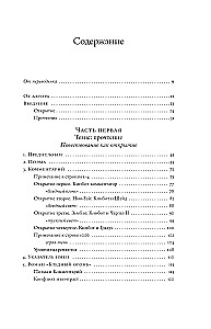 Blasses Feuer von Nabokov