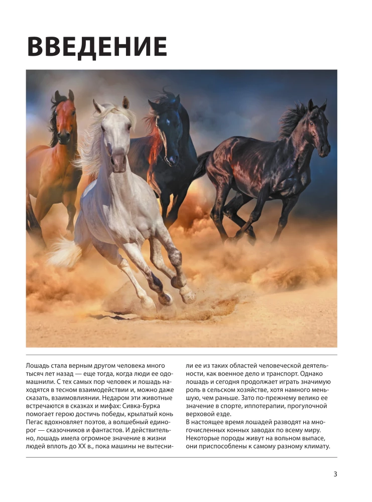Horses