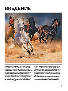 Horses