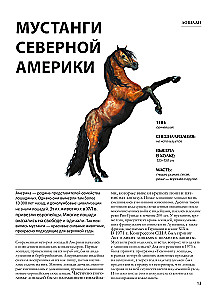 Horses