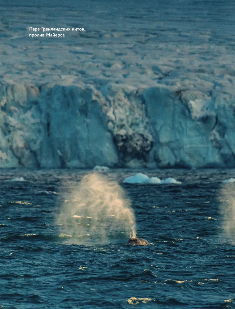 The Arctic Ocean. Franz Josef Land