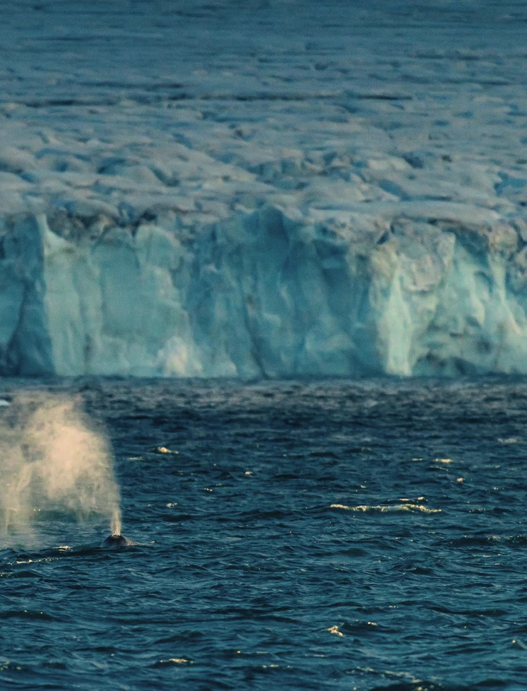 The Arctic Ocean. Franz Josef Land