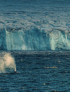 The Arctic Ocean. Franz Josef Land